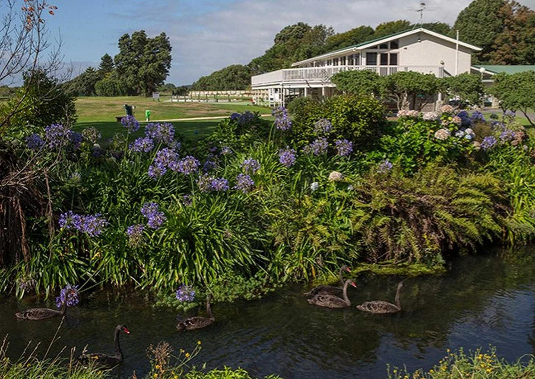 Waikanae Studio B&B 外观 照片